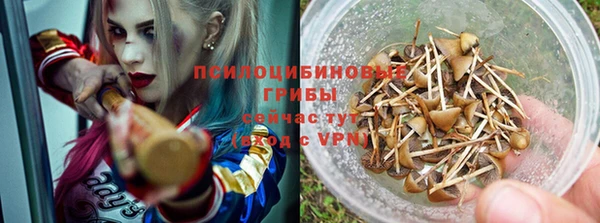 ПСИЛОЦИБИНОВЫЕ ГРИБЫ Каменск-Шахтинский